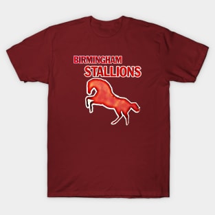 Birmingham Stallions Football T-Shirt